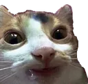 Emoji warholed