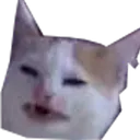 Emoji wtf