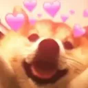 Emoji pitichien