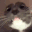 Emoji EC_catEEE