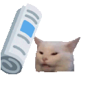 Emoji EC_CAT_BONK