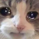 Emoji sosad