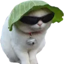Emoji 5019_cool_cat