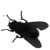 Emoji mouche