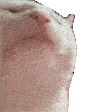 Emoji cat_dance