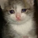 Emoji 741283669594865744