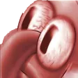 Emoji 405065197997260811