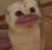 Emoji waaow