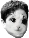 Emoji kapparachide