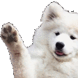 Emoji hollaici