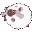 Emoji moumoutonroulade