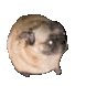 Emoji EBdancedog