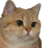 Emoji oki