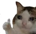 Emoji Cat