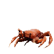 Emoji RT_crabrave