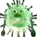 Emoji meme_la_covid_le_bob