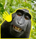 Emoji meme_hola_gringa