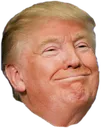 Emoji meme_trump_smile_yes