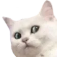Emoji Chat_quoi