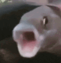 Emoji GR_PogFish