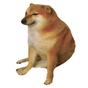 Emoji crydoggo