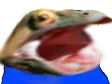 Emoji emoji_12