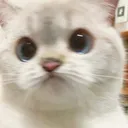 Emoji BofBof