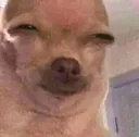 Emoji __