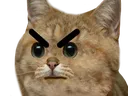 Emoji pascool