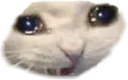 Emoji c_nooowhy