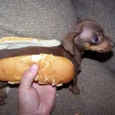 Emoji hotdog