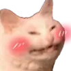 Emoji EC_BakaCatBlush