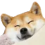 Emoji dog_shibasmile