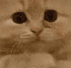 Emoji emoji_14