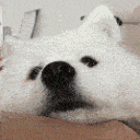 Emoji emoji_16