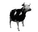 Emoji polishcow