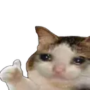 Emoji ST_catgood