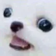 Emoji AHdog
