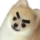 Emoji EC_dog_angry
