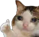Emoji EC_daijobu