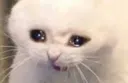 Emoji REEEEE