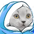 Emoji RT_CatBlanket