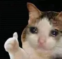 Emoji KamiVChatKiPleur