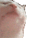 Emoji cat_jam