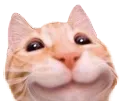 Emoji EC_cat_yes