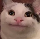 Emoji chat4