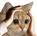 Emoji TeoOlala