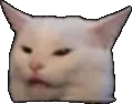 Emoji meme_heh