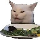 Emoji WomanYellingAtCatmin