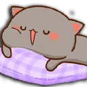 Emoji dort10